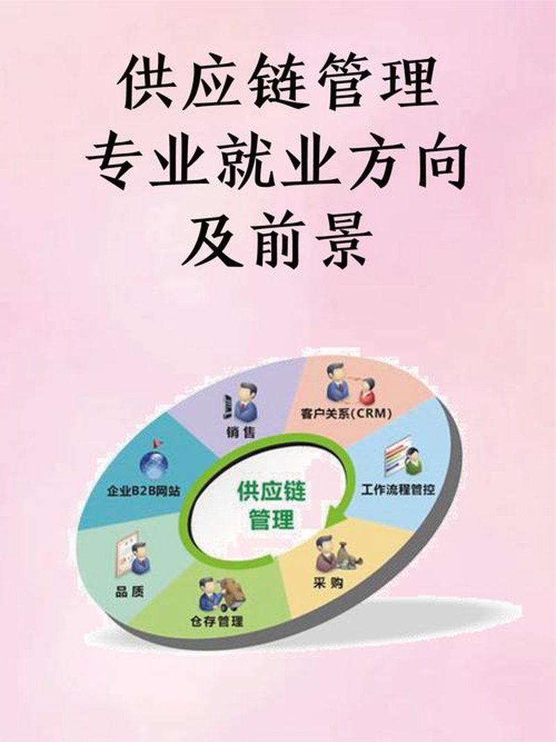 供应链金融选购指南：助力企业稳健前行